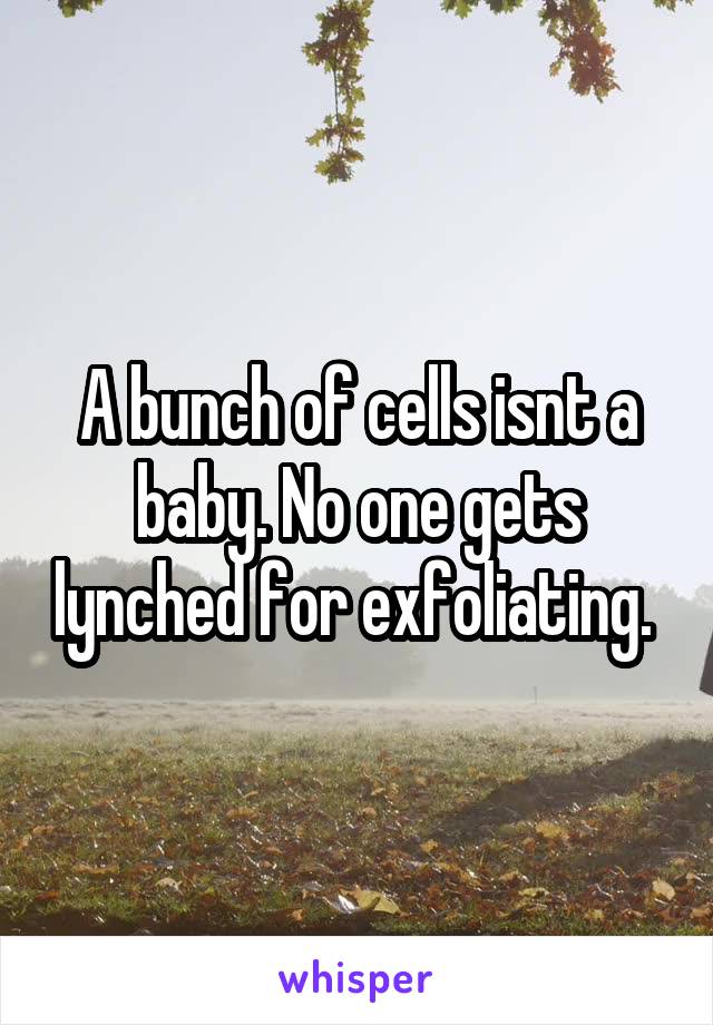 A bunch of cells isnt a baby. No one gets lynched for exfoliating. 