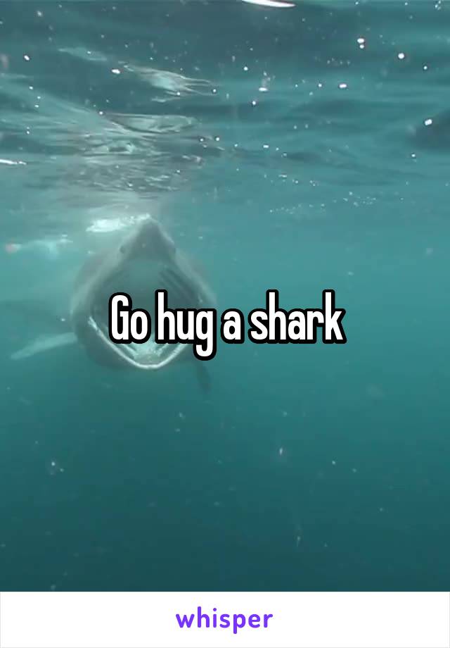 Go hug a shark