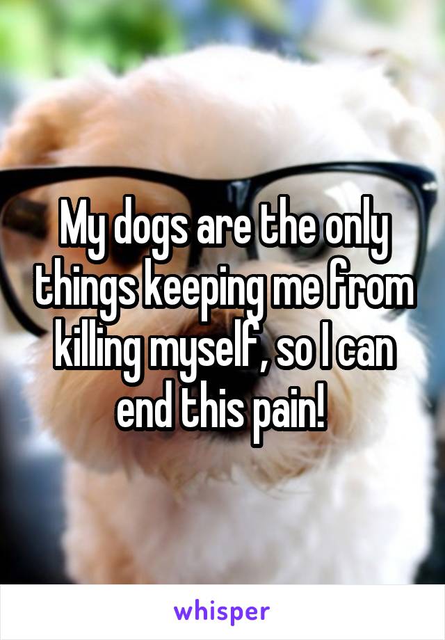 My dogs are the only things keeping me from killing myself, so I can end this pain! 