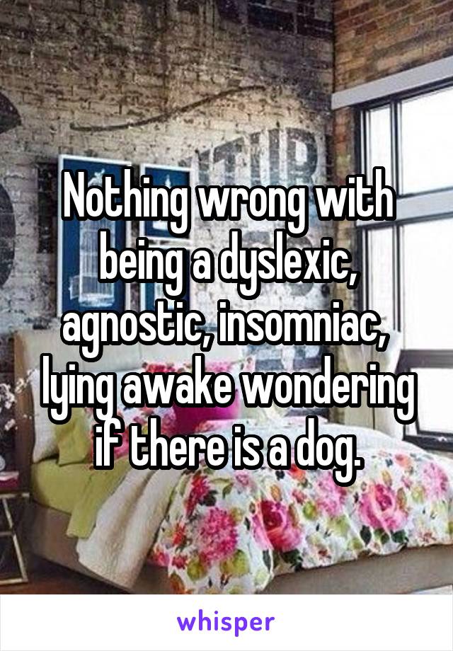 Nothing wrong with being a dyslexic, agnostic, insomniac,  lying awake wondering if there is a dog.