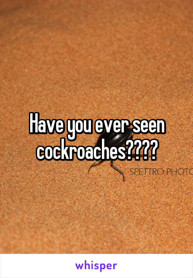 Have you ever seen cockroaches????