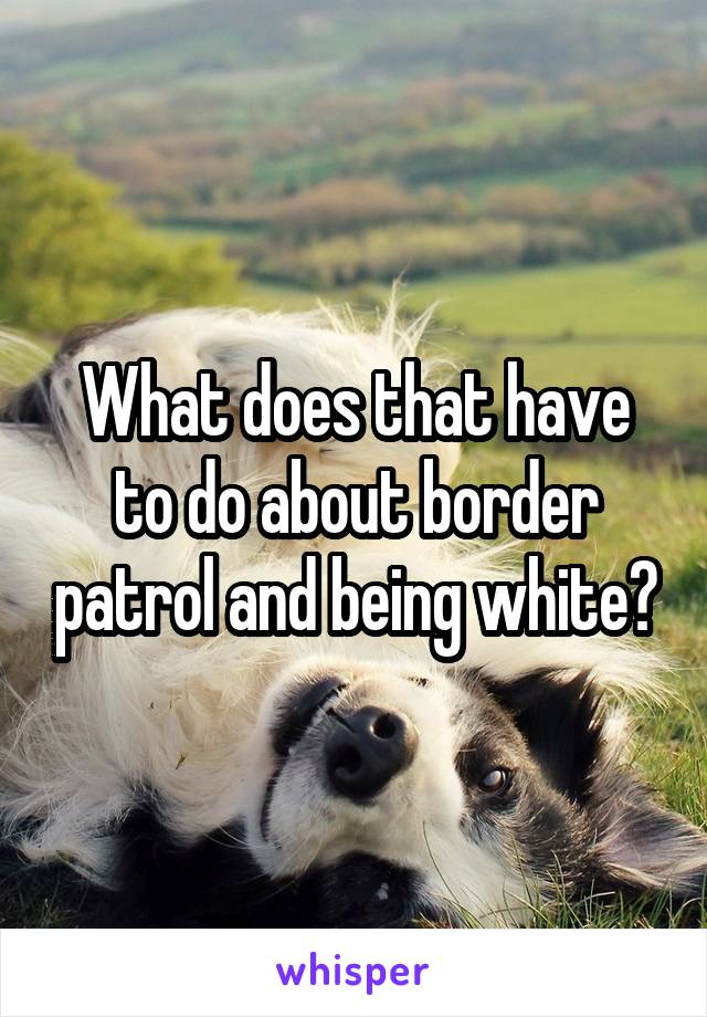 What does that have to do about border patrol and being white?