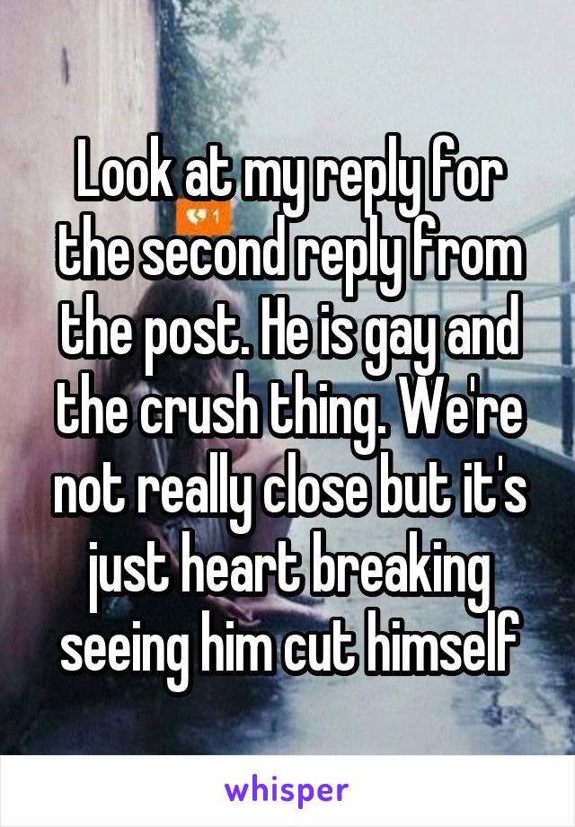 Look at my reply for the second reply from the post. He is gay and the crush thing. We're not really close but it's just heart breaking seeing him cut himself