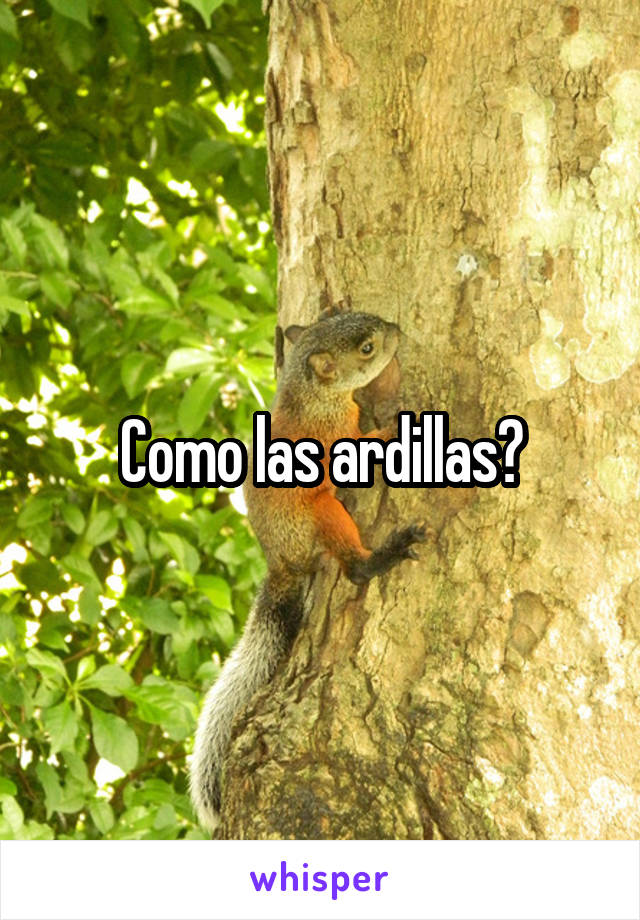 Como las ardillas?