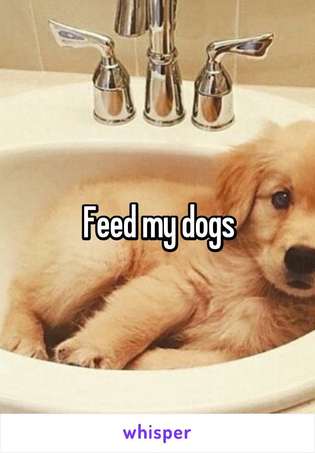 Feed my dogs