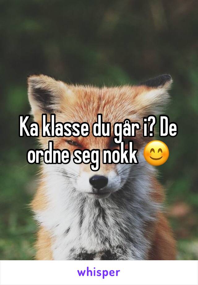 Ka klasse du går i? De ordne seg nokk 😊