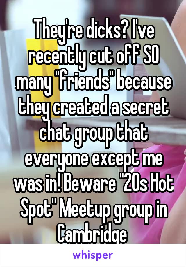 They're dicks? I've recently cut off SO many "friends" because they created a secret chat group that everyone except me was in! Beware "20s Hot Spot" Meetup group in Cambridge 