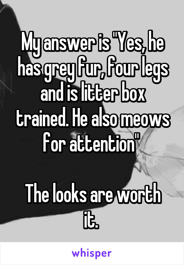 My answer is "Yes, he has grey fur, four legs and is litter box trained. He also meows for attention" 

The looks are worth it. 