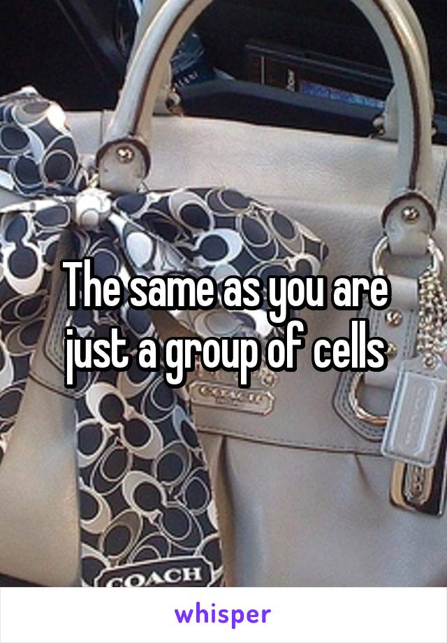 The same as you are just a group of cells