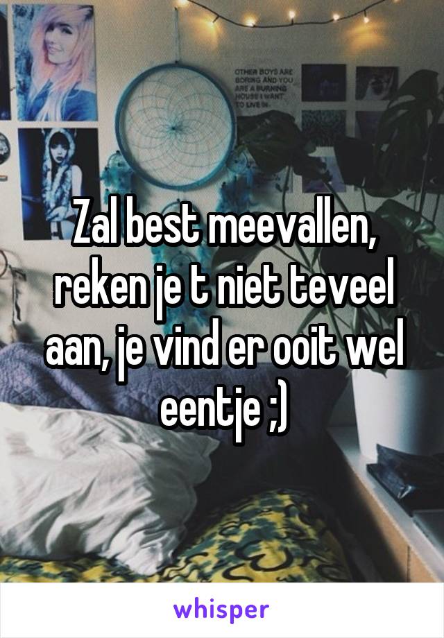 Zal best meevallen, reken je t niet teveel aan, je vind er ooit wel eentje ;)