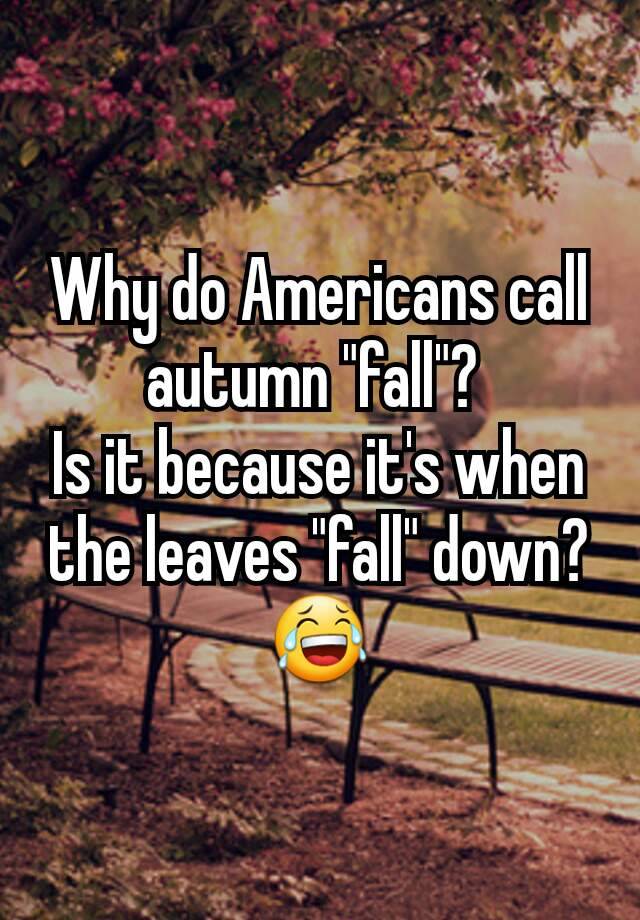 why-do-americans-call-autumn-fall-is-it-because-it-s-when-the-leaves