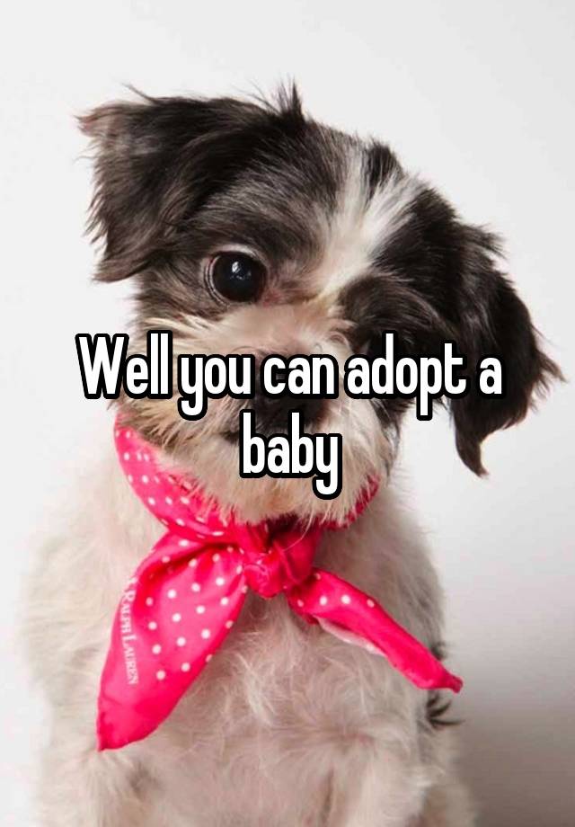 well-you-can-adopt-a-baby