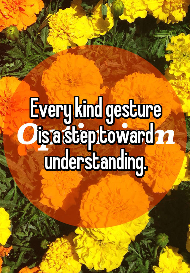 every-kind-gesture-is-a-step-toward-understanding