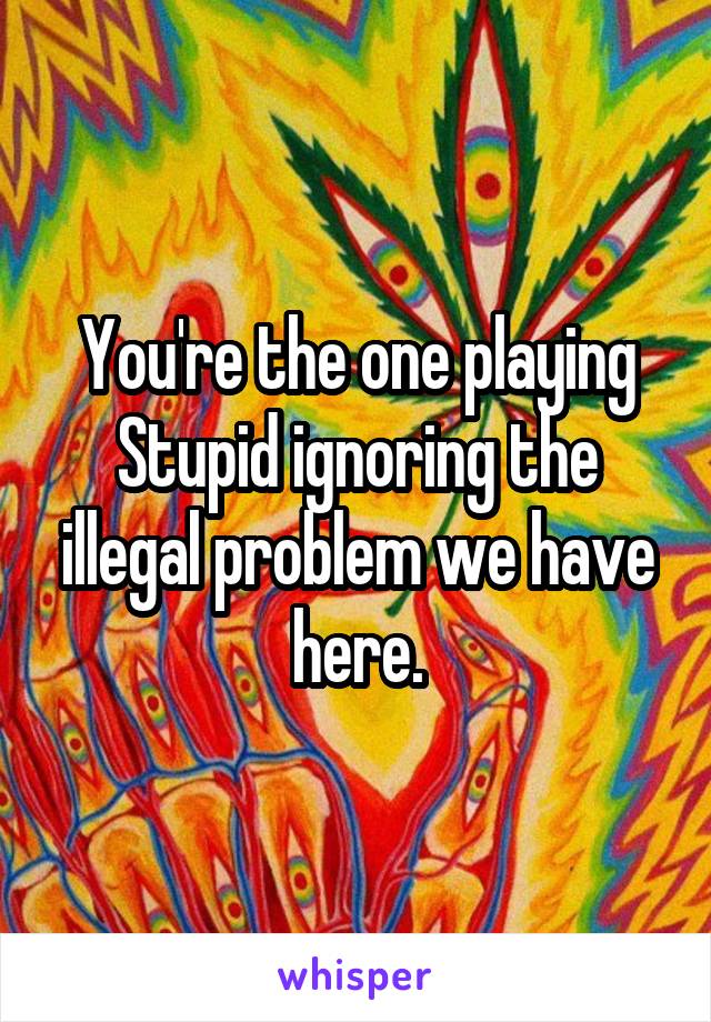 You're the one playing Stupid ignoring the illegal problem we have here.