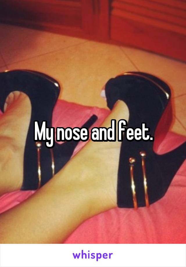 My nose and feet.