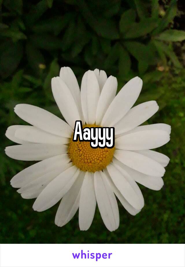 Aayyy