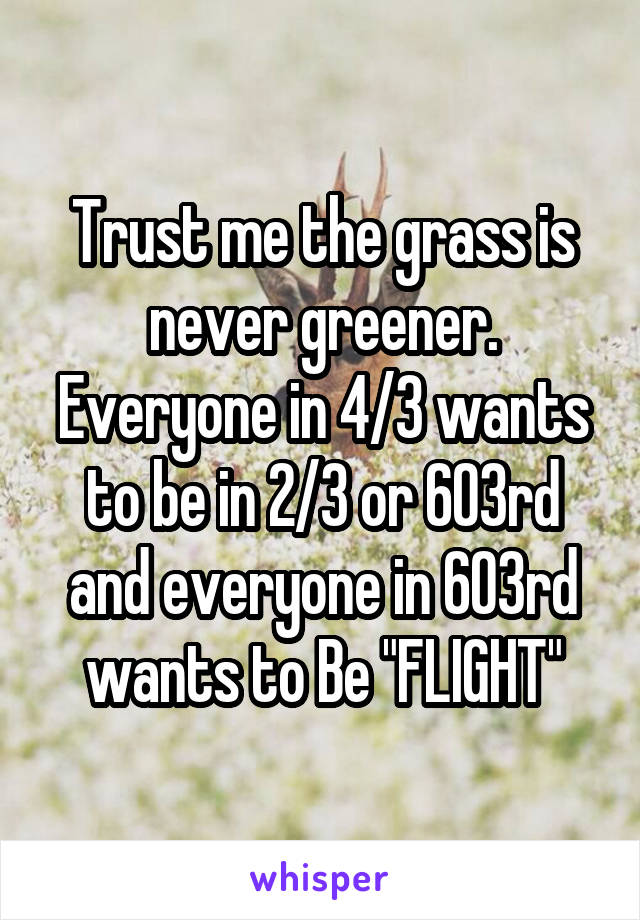 Trust me the grass is never greener. Everyone in 4/3 wants to be in 2/3 or 603rd and everyone in 603rd wants to Be "FLIGHT"