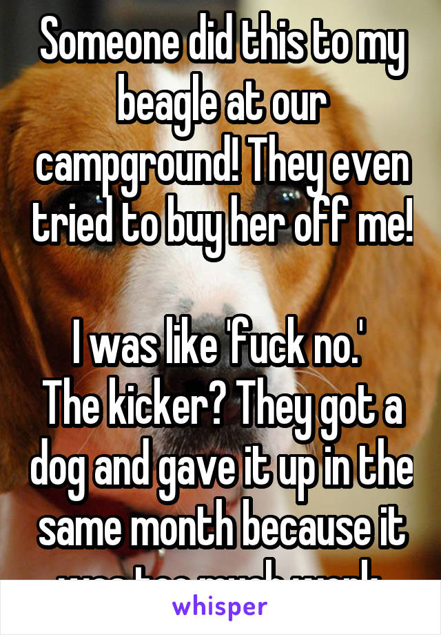 Someone did this to my beagle at our campground! They even tried to buy her off me! 
I was like 'fuck no.' 
The kicker? They got a dog and gave it up in the same month because it was too much work.