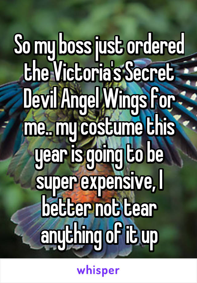 So my boss just ordered the Victoria's Secret Devil Angel Wings for me.. my costume this year is going to be super expensive, I better not tear anything of it up