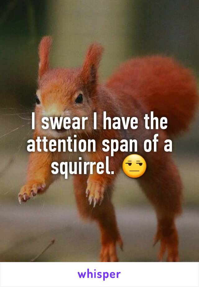 I swear I have the attention span of a squirrel. 😒