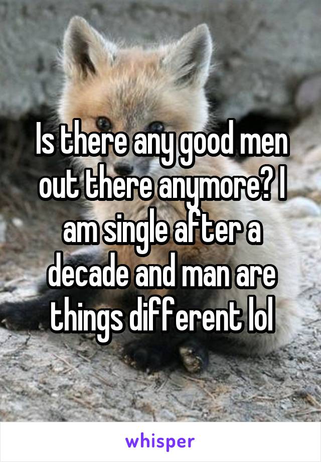 Is there any good men out there anymore? I am single after a decade and man are things different lol
