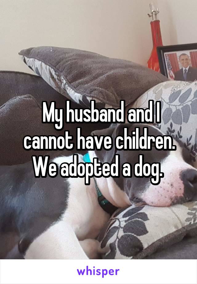  My husband and I cannot have children. We adopted a dog. 
