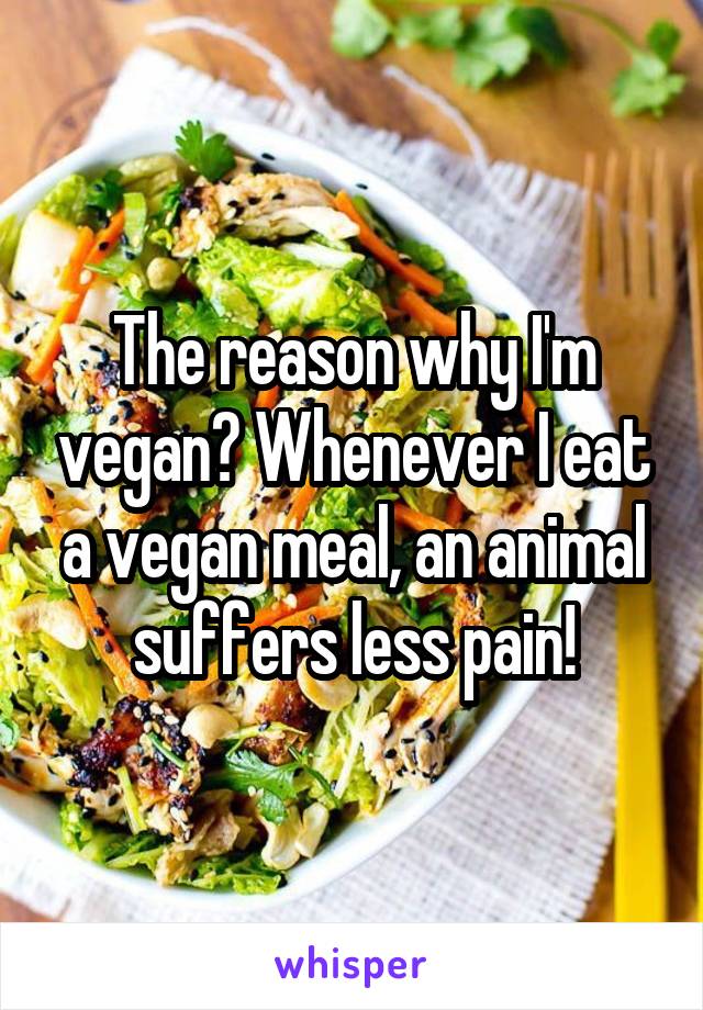 The reason why I'm vegan? Whenever I eat a vegan meal, an animal suffers less pain!