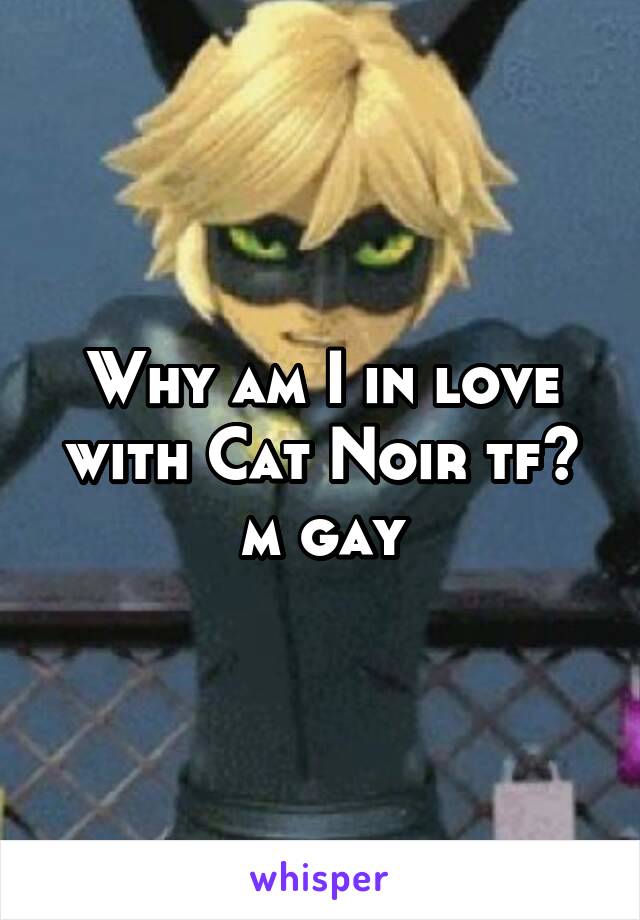 Why am I in love with Cat Noir tf? m gay