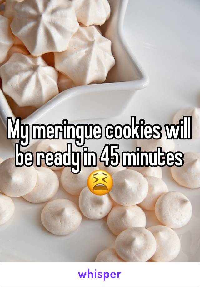 My meringue cookies will be ready in 45 minutes 😫