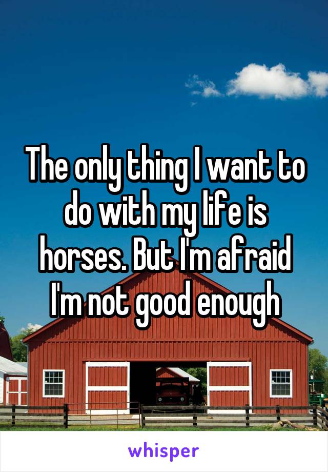 The only thing I want to do with my life is horses. But I'm afraid I'm not good enough