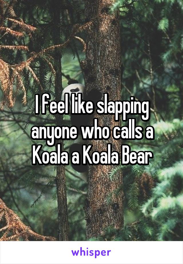 I feel like slapping anyone who calls a Koala a Koala Bear