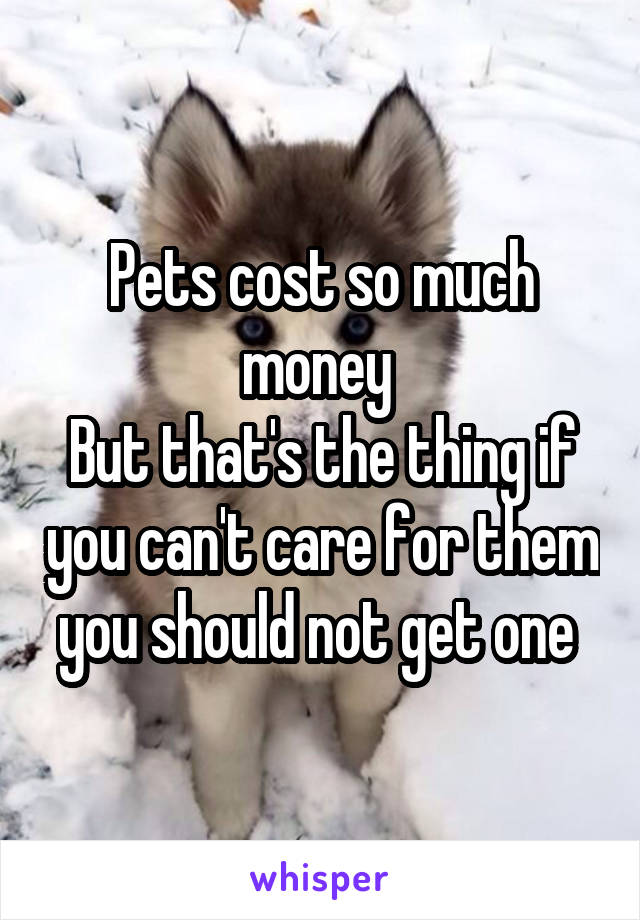 Pets cost so much money 
But that's the thing if you can't care for them you should not get one 