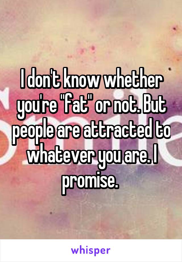 I don't know whether you're "fat" or not. But people are attracted to whatever you are. I promise. 