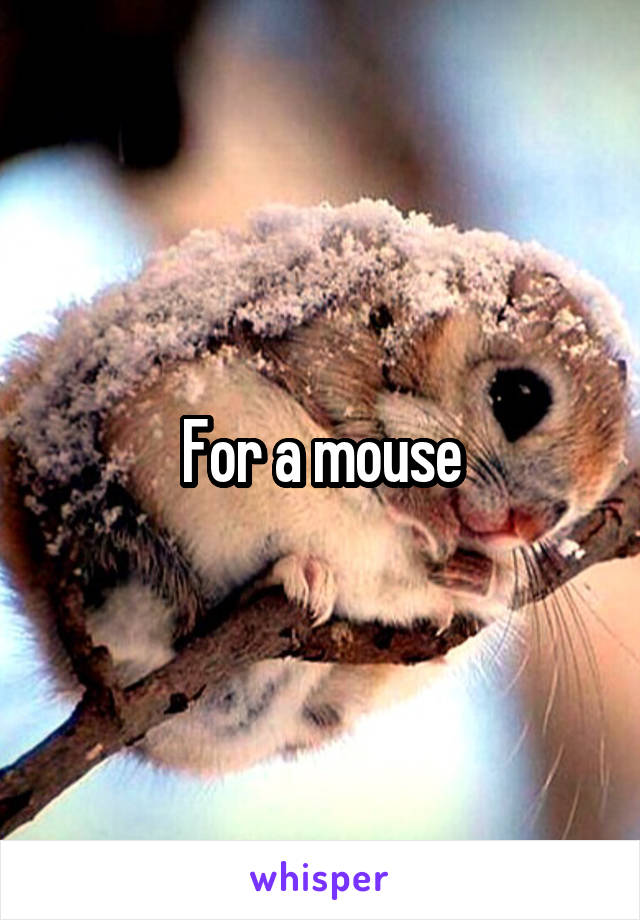 For a mouse