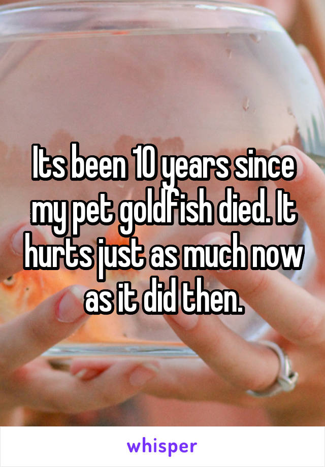 Its been 10 years since my pet goldfish died. It hurts just as much now as it did then.