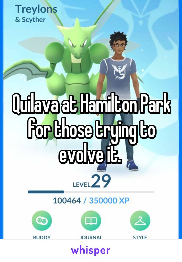 Quilava at Hamilton Park for those trying to evolve it. 