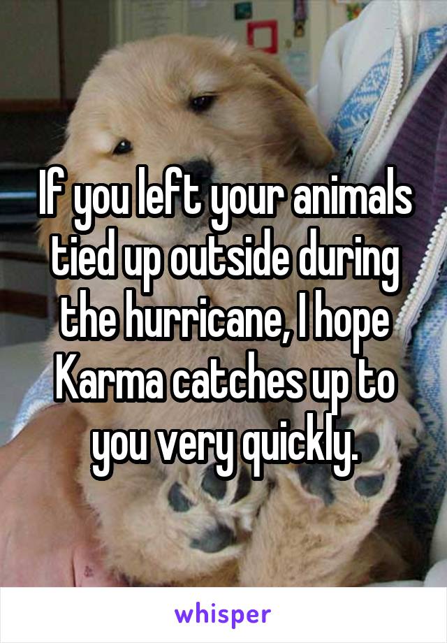 If you left your animals tied up outside during the hurricane, I hope Karma catches up to you very quickly.