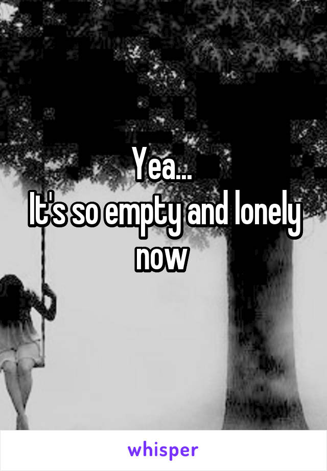 Yea... 
It's so empty and lonely now 
