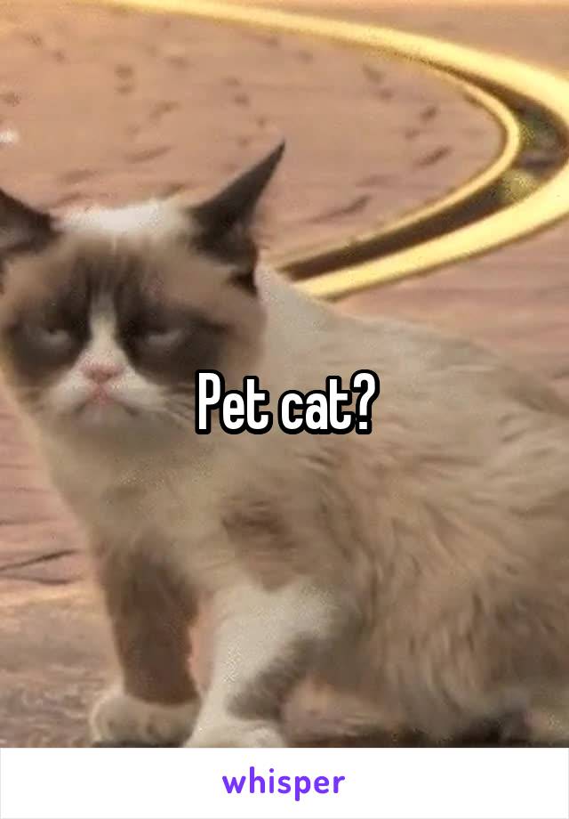 Pet cat?