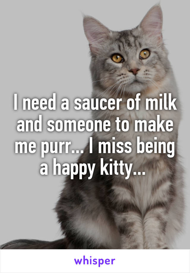 I need a saucer of milk and someone to make me purr... I miss being a happy kitty... 
