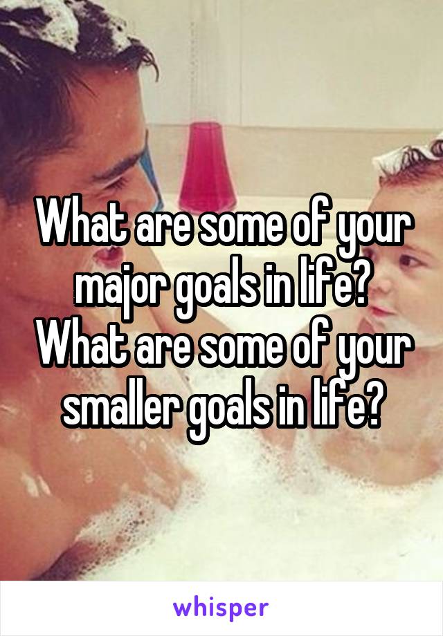 What are some of your major goals in life? What are some of your smaller goals in life?