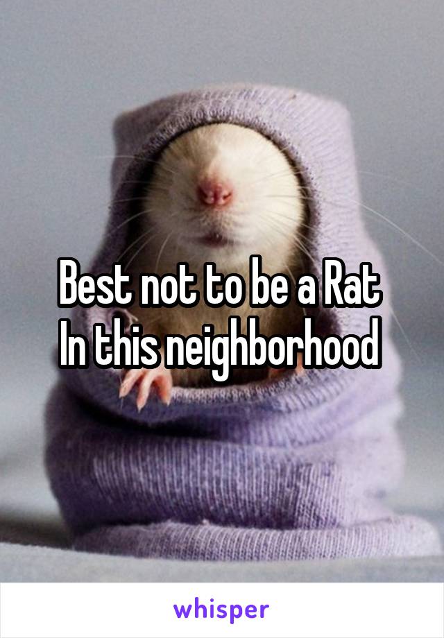 Best not to be a Rat 
In this neighborhood 