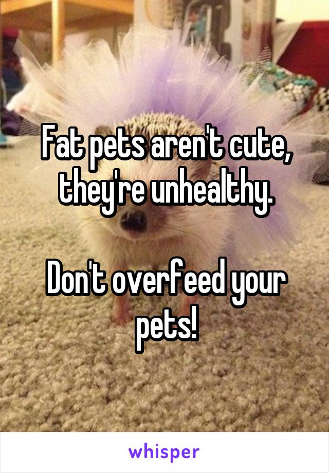 Fat pets aren't cute, they're unhealthy.

Don't overfeed your pets!