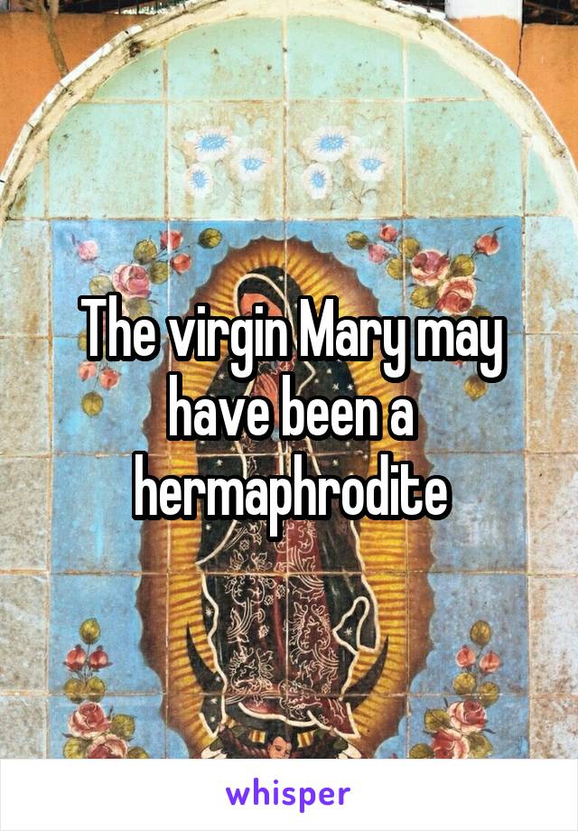 The virgin Mary may have been a hermaphrodite