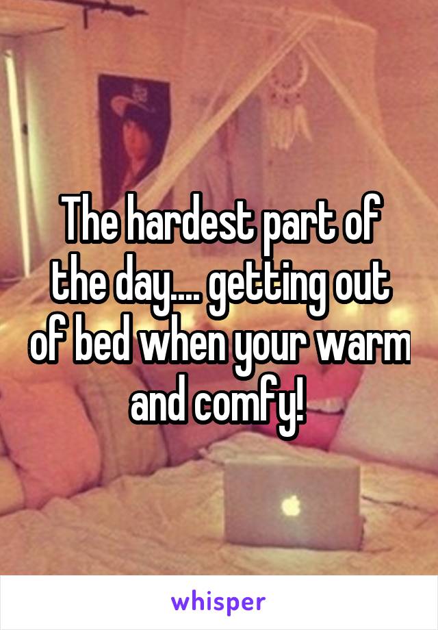 The hardest part of the day.... getting out of bed when your warm and comfy! 
