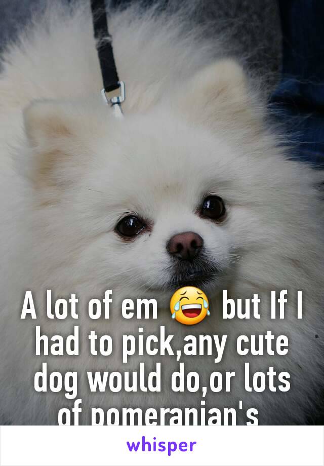 A lot of em 😂 but If I had to pick,any cute dog would do,or lots of pomeranian's 