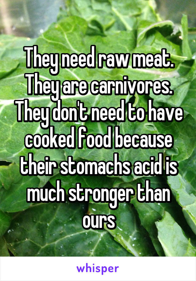 They need raw meat. They are carnivores. They don't need to have cooked food because their stomachs acid is much stronger than ours
