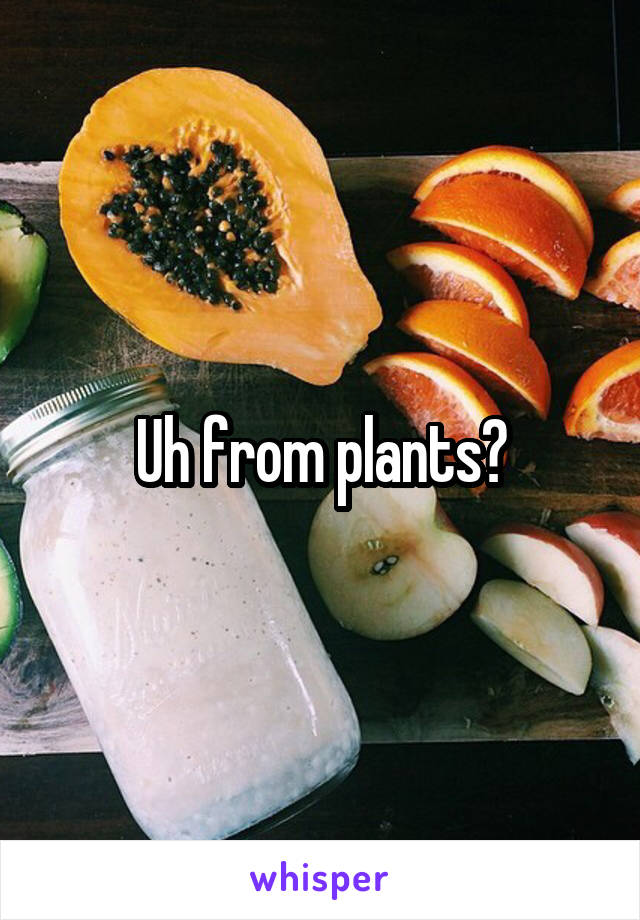 Uh from plants?