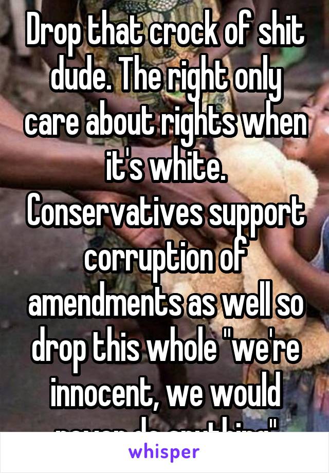 Drop that crock of shit dude. The right only care about rights when it's white. Conservatives support corruption of amendments as well so drop this whole "we're innocent, we would never do anything"