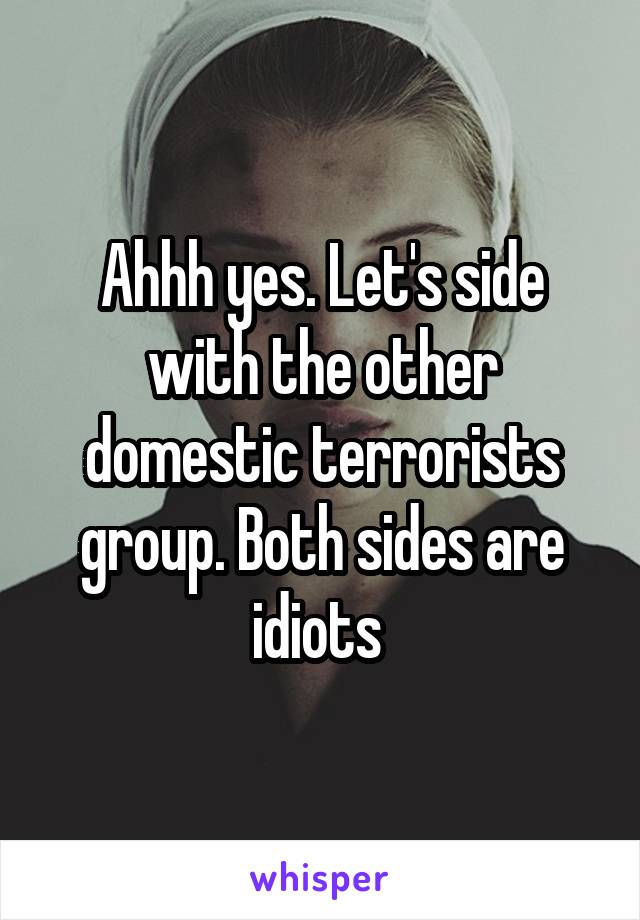 Ahhh yes. Let's side with the other domestic terrorists group. Both sides are idiots 